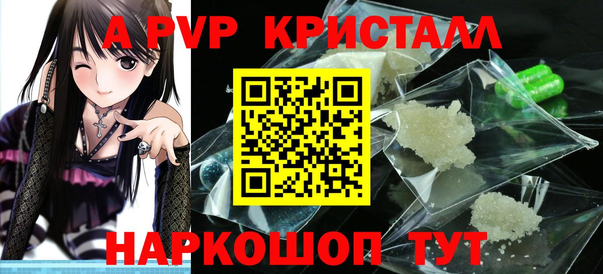 A PVP СК Электросталь