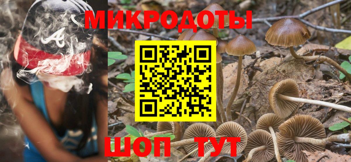 Электросталь  Галлюциногенные грибы мицелий  даркнет сайт  Вход с VPN 